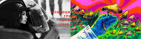 прущие грибы Нязепетровск