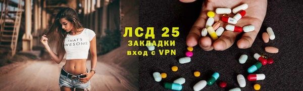 прущие крисы Бородино