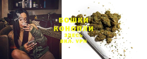 прущие грибы Бронницы