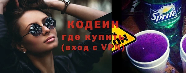 прущие грибы Бронницы