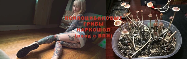 прущие крисы Бородино