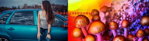 прущие грибы Бронницы