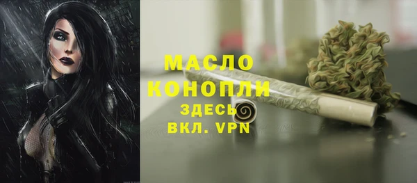 прущие грибы Бронницы