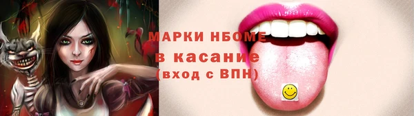 прущие грибы Бронницы