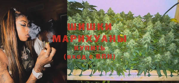 прущие грибы Бронницы