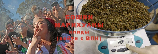 прущие грибы Бронницы