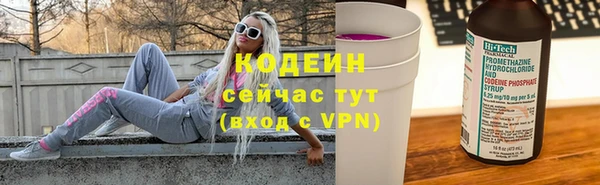 прущие крисы Бородино